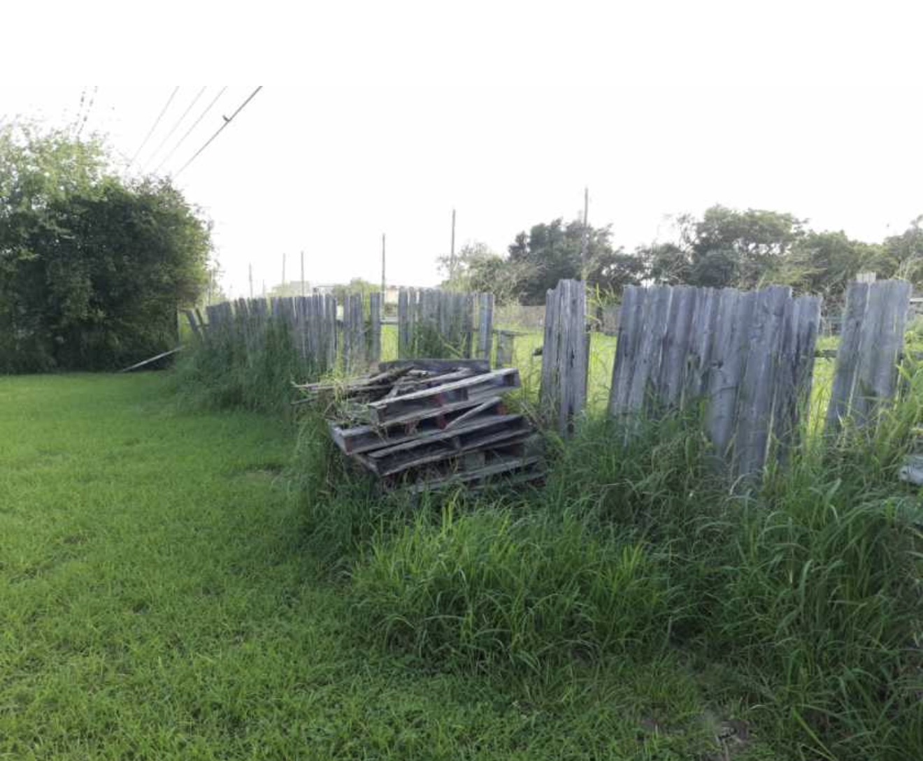 Wood Privacy Fence & Gate before