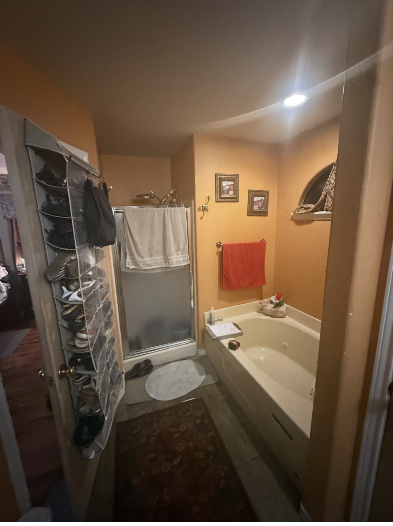 Statement Shower Upgrade before